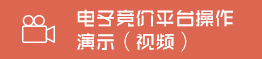 電子競(jìng)價(jià)平臺(tái)操作演示